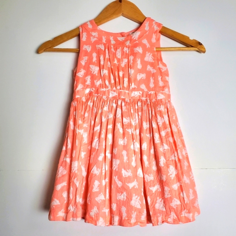 💜Carter's girls spring bunny dress size: 3T
